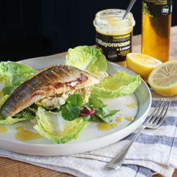 Yorkshire Rapeseed Oil Recipe - Seabass with Celeriac Remoulade, Salad & Yorkshire Lemon Mayonnaise 
